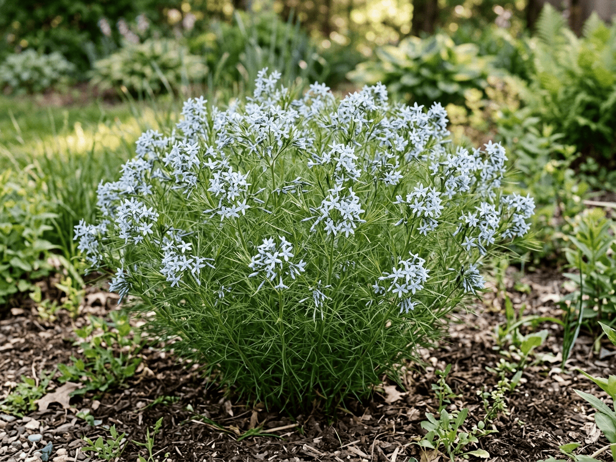 Hubrichts Blaustern