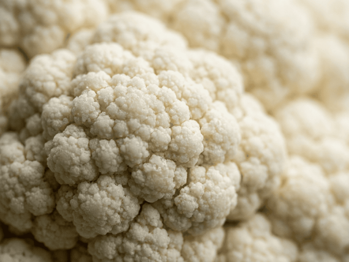 Brocoli — gros plan sur feuilles et fleurs