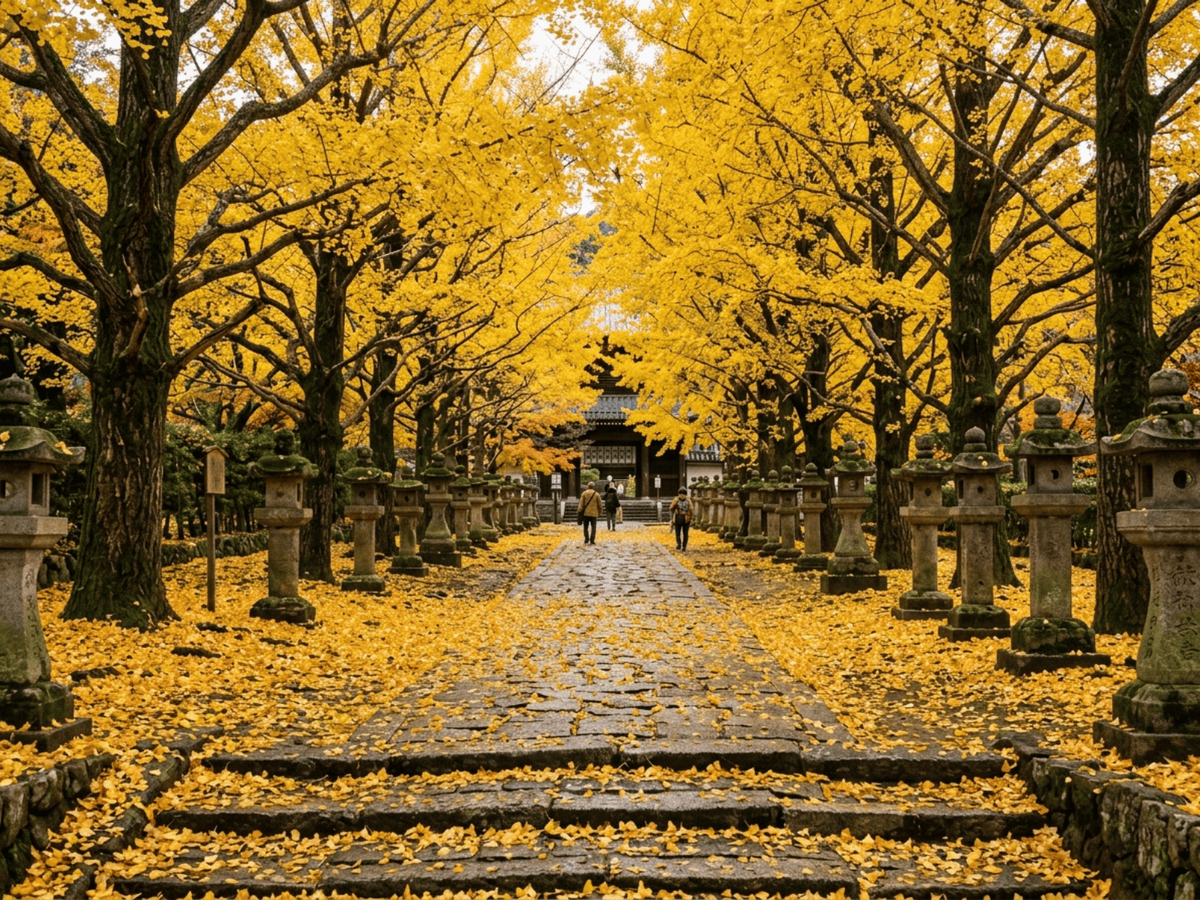 Ginkgo en un jardín