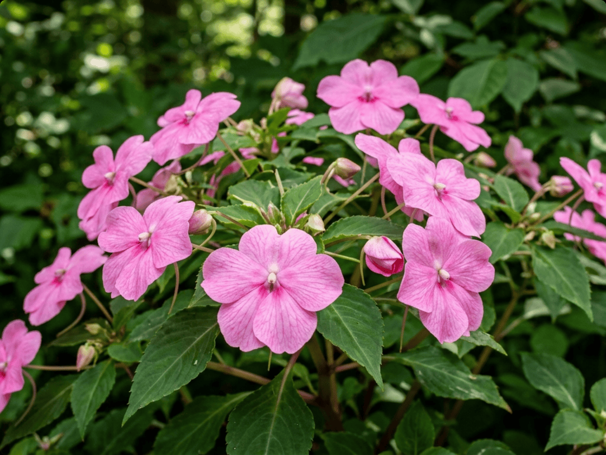 Fior di vetro — primo piano di foglie e fiori